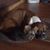 Rose Branstetter's profile image