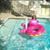 Harley Locklear's profile image