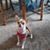 Sharon Frantz's profile image