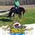 Dennis Brunkhorst's profile image