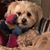 Anne Bryson Jolly's profile image
