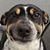 Bryan Anderson's profile image