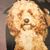 Paris Raven Rowntree's profile image