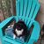 Meg Eckert's profile image