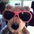 Paul Caramagno's profile image