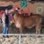 Adam N Christy Carver's profile image