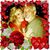Tracy Schreckenstein's profile image