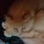 Gail Foster's profile image