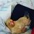 Pamela Hughey's profile image
