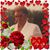 Louise H Williams's profile image