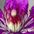 Theresa Morrison's profile image