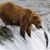 Ann Paulson's profile image