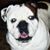 Buster Brown's profile image