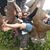 Gina Jacobson's profile image