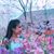 Diễm My's profile image