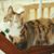 Jeanne Scheef's profile image