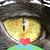 Christopher Prokopiak's profile image