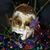 Debra Carr Kahn's profile image