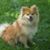 Jennifer Warneke's profile image