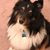 Michele Olson's profile image