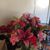 Vicki Bryson's profile image
