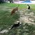 Brenda Gardner Rawlinson's profile image