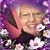Phillis Hertter's profile image