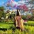 Apple Bruner's profile image