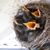 Dann Boland's profile image