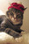 Susy G.'s profile image