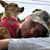 Alanna Graden's profile image