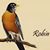 Robin Hurst's profile image