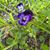 Lori Humphrey's profile image
