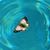 Teri Seale's profile image