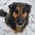 Ericka L Castro's profile image