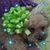 Aviva Brooks's profile image