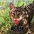 Heather Parsons's profile image