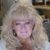 Jani Moyers Jackson's profile image