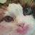 Barbara Casha's profile image