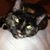 Marsha Lewis's profile image