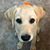 Jim Petrous's profile image