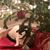 Karen Whitman's profile image