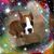 Susan Aponte Crespino's profile image
