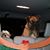 Cindy Morgan's profile image