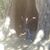 Tara Kidder's profile image