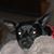 Christi Cable Buonopane Jolley's profile image