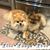 Brenda Phillips's profile image