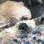 Dawn Aberle's profile image