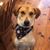Dorie Clark's profile image