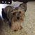 Barbara Pelous Moore's profile image